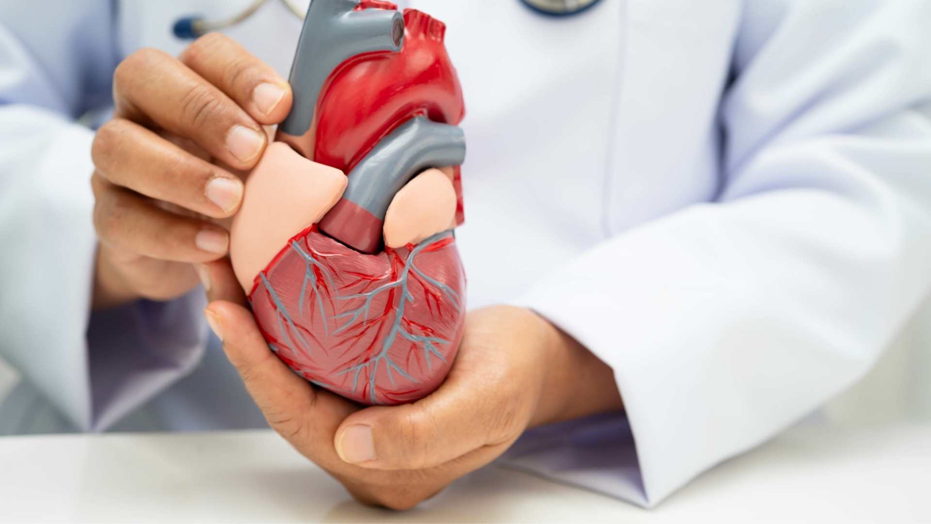 Doctor's hand holding prosthetic heart